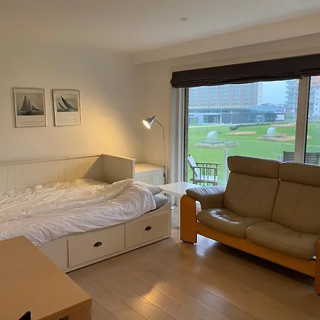 Den Oever Vi 103 With A Sea View